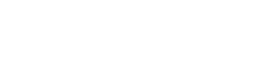 dt automotive logo